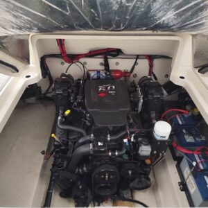 Searay Amberjack 250 - Billede 8