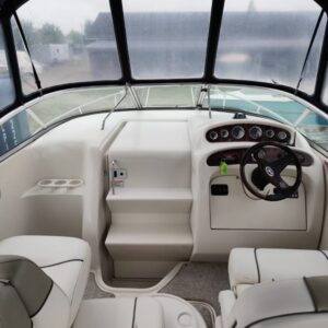 Searay Amberjack 250 - Billede 12