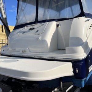 Searay Amberjack 250 - Billede 5